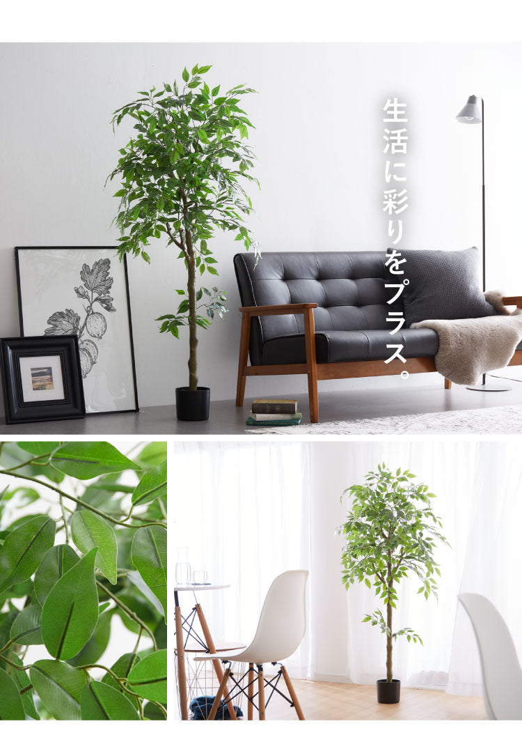 フィカス 観葉植物 フェイクグリーン 高さ160cm 人工観葉植物 造花 インテリア リアル おしゃれ 鉢 お祝い 樹 木 室内 人気 玄関 リビング フェイク オフィス 部屋 シンプル(代引不可)