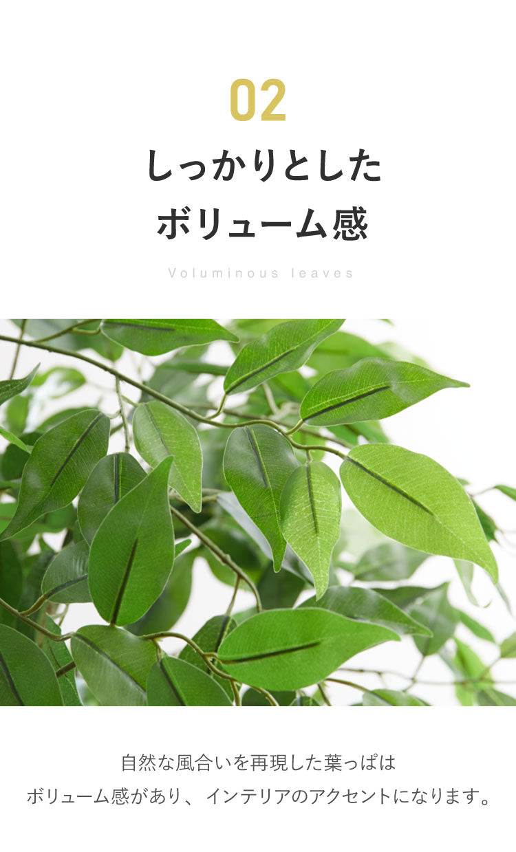 フィカス 観葉植物 フェイクグリーン 高さ160cm 人工観葉植物 造花 インテリア リアル おしゃれ 鉢 お祝い 樹 木 室内 人気 玄関 リビング フェイク オフィス 部屋 シンプル(代引不可)