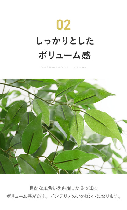 フィカス 観葉植物 フェイクグリーン 高さ160cm 人工観葉植物 造花 インテリア リアル おしゃれ 鉢 お祝い 樹 木 室内 人気 玄関 リビング フェイク オフィス 部屋 シンプル(代引不可)