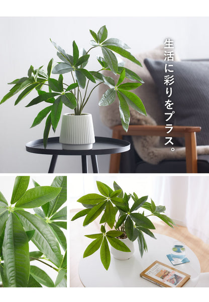 パキラ フェイクグリーン 観葉植物 フェイク 人工観葉植物 造花 インテリア リアル おしゃれ 鉢 お祝い 樹 木 室内 人気 玄関 リビング オフィス 部屋 シンプル(代引不可)