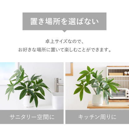 パキラ フェイクグリーン 観葉植物 フェイク 人工観葉植物 造花 インテリア リアル おしゃれ 鉢 お祝い 樹 木 室内 人気 玄関 リビング オフィス 部屋 シンプル(代引不可)