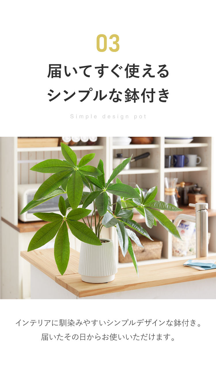 パキラ フェイクグリーン 観葉植物 フェイク 人工観葉植物 造花 インテリア リアル おしゃれ 鉢 お祝い 樹 木 室内 人気 玄関 リビング オフィス 部屋 シンプル(代引不可)