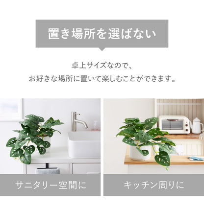 モンステラ フェイクグリーン 観葉植物 フェイク 人工観葉植物 造花 インテリア リアル おしゃれ 鉢 お祝い 樹 木 室内 人気 玄関 リビング オフィス 部屋 シンプル(代引不可)