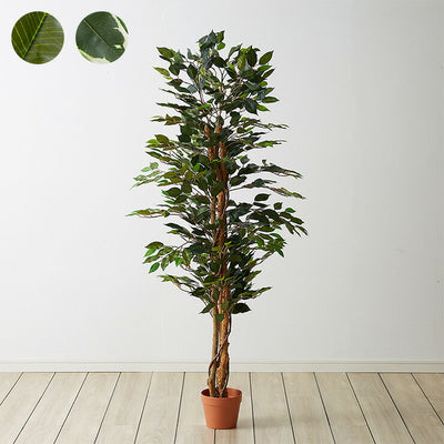 人工観葉植物 フィカス ロータイプ ゴムの木 フェイクグリーン インテリアグリーン 造花 観葉植物 人工 フェイク グリーン