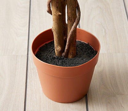 人工観葉植物 フィカス ロータイプ ゴムの木 フェイクグリーン インテリアグリーン 造花 観葉植物 人工 フェイク グリーン(代引不可)