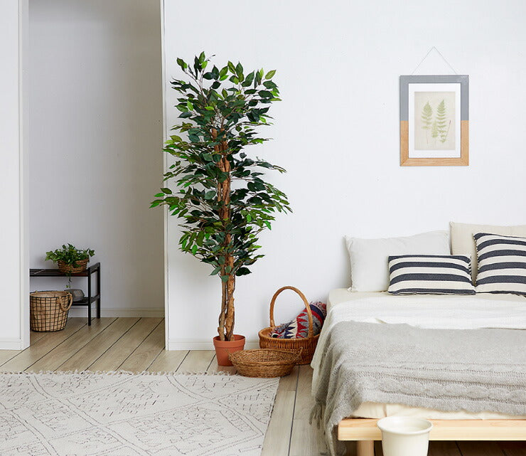 人工観葉植物 フィカス ロータイプ ゴムの木 フェイクグリーン インテリアグリーン 造花 観葉植物 人工 フェイク グリーン(代引不可)