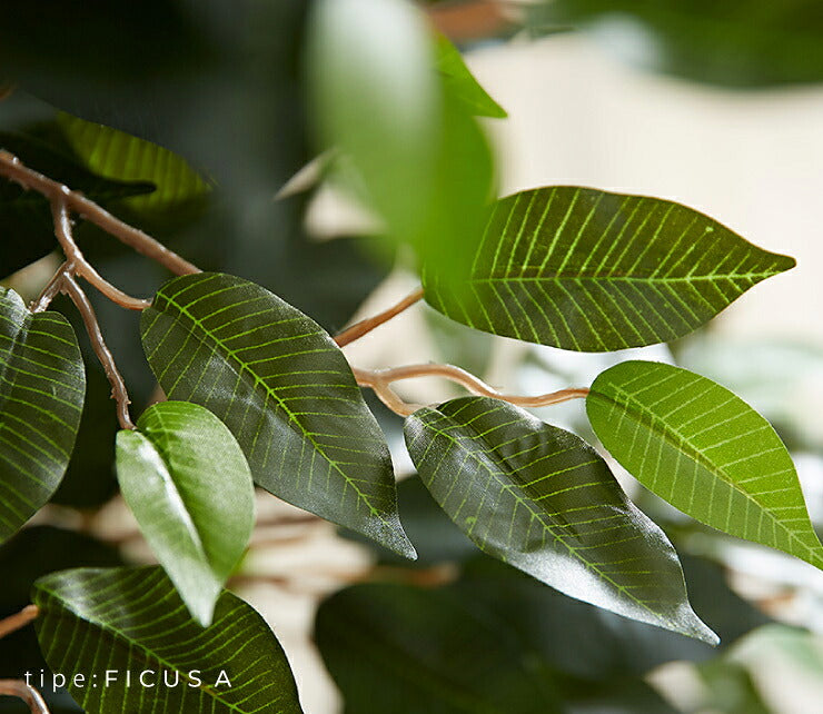 人工観葉植物 フィカス ロータイプ ゴムの木 フェイクグリーン インテリアグリーン 造花 観葉植物 人工 フェイク グリーン(代引不可)
