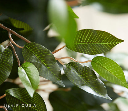 人工観葉植物 フィカス ロータイプ ゴムの木 フェイクグリーン インテリアグリーン 造花 観葉植物 人工 フェイク グリーン(代引不可)