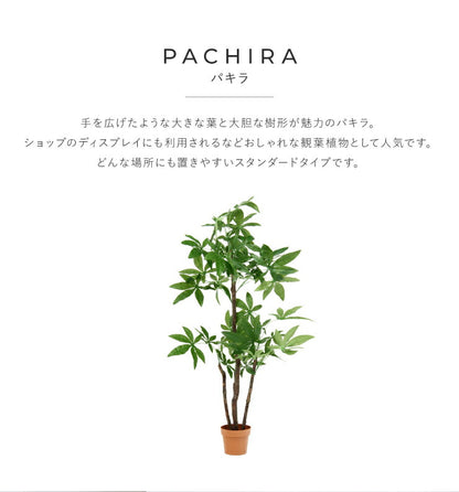 人工観葉植物 パキラ スタンダード フェイクグリーン インテリアグリーン 造花 観葉植物 鉢植え 人工 フェイク グリーン(代引不可)