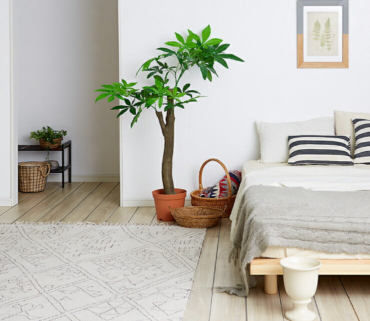 人工観葉植物 パキラ 朴の木タイプ フェイクグリーン インテリアグリーン 造花 観葉植物 鉢植え 人工 フェイク グリーン(代引不可)