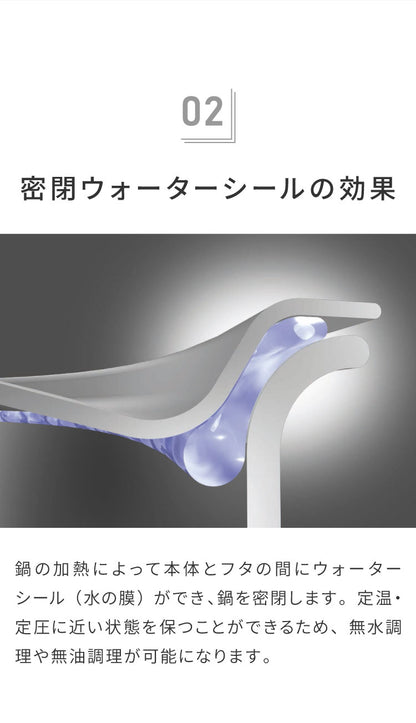 ジオ・プロダクト 日本製 ポトフ鍋 20cm GEO-20PF ガス火・IH対応 オーブン可 GEO ジオ 服部幸應先生 国産 宮崎製作所 Miyaco ジオプロダクト