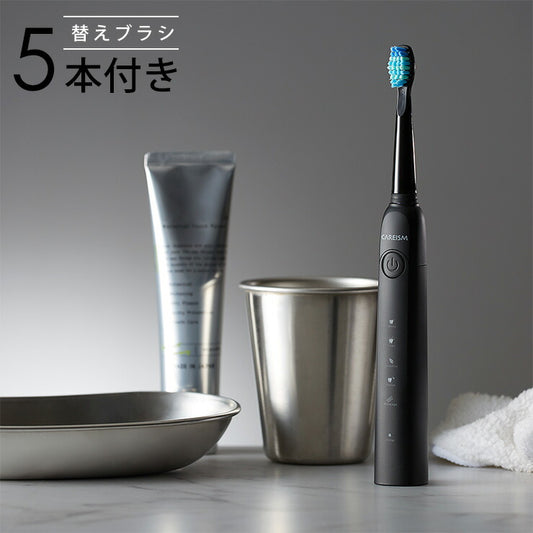 電動歯ブラシ 充電式 音波振動歯ブラシ LDB1000RBKJ 5種類モード切替 2分間 オート切りタイマー機能搭載 USB充電 ブラシ5本付き(代引不可)【メール便】