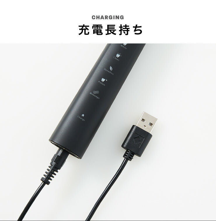 電動歯ブラシ 充電式 音波振動歯ブラシ LDB1000RBKJ 5種類モード切替 2分間 オート切りタイマー機能搭載 USB充電 ブラシ5本付き(代引不可)【メール便】