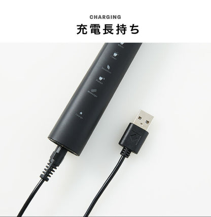 電動歯ブラシ 充電式 音波振動歯ブラシ LDB1000RBKJ 5種類モード切替 2分間 オート切りタイマー機能搭載 USB充電 ブラシ5本付き(代引不可)【メール便】