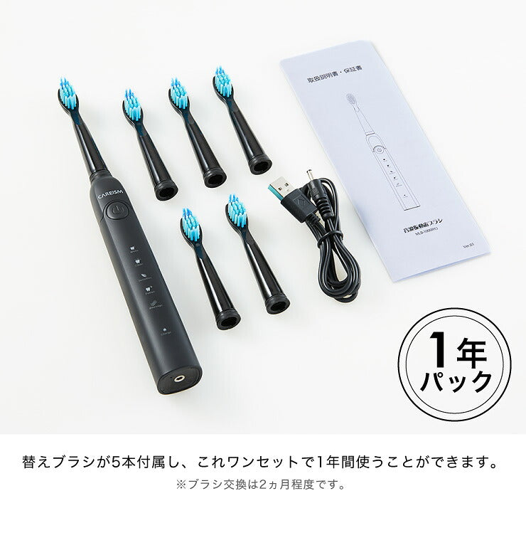 電動歯ブラシ 充電式 音波振動歯ブラシ LDB1000RBKJ 5種類モード切替 2分間 オート切りタイマー機能搭載 USB充電 ブラシ5本付き(代引不可)【メール便】