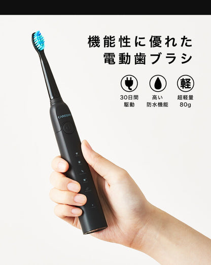 電動歯ブラシ 充電式 音波振動歯ブラシ LDB1000RBKJ 5種類モード切替 2分間 オート切りタイマー機能搭載 USB充電 ブラシ5本付き(代引不可)【メール便】