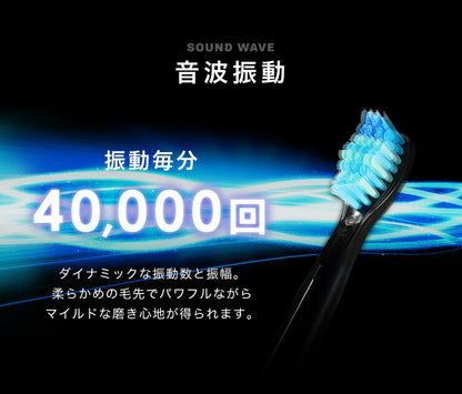 電動歯ブラシ 充電式 音波振動歯ブラシ LDB1000RBKJ 5種類モード切替 2分間 オート切りタイマー機能搭載 USB充電 ブラシ5本付き(代引不可)【メール便】