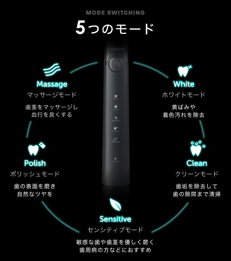 電動歯ブラシ 充電式 音波振動歯ブラシ LDB1000RBKJ 5種類モード切替 2分間 オート切りタイマー機能搭載 USB充電 ブラシ5本付き(代引不可)【メール便】