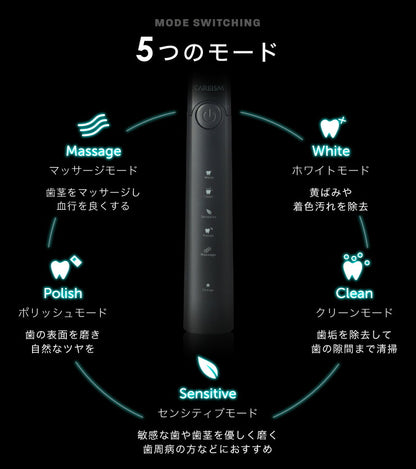 電動歯ブラシ 充電式 音波振動歯ブラシ LDB1000RBKJ 5種類モード切替 2分間 オート切りタイマー機能搭載 USB充電 ブラシ5本付き(代引不可)【メール便】