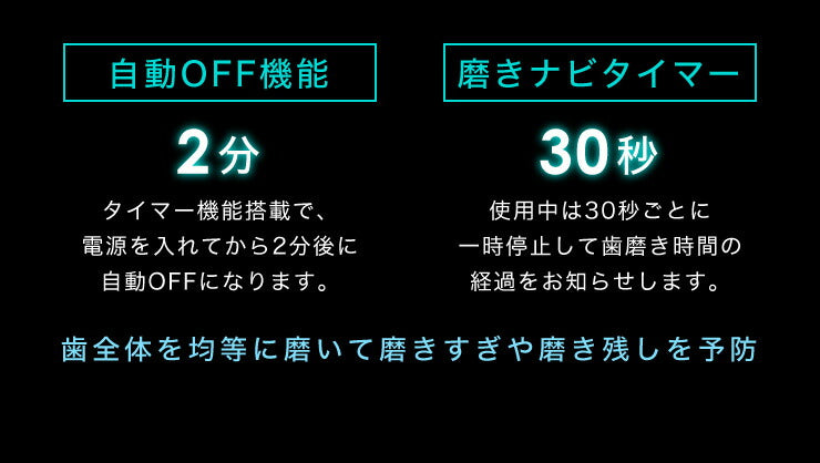 電動歯ブラシ 充電式 音波振動歯ブラシ LDB1000RBKJ 5種類モード切替 2分間 オート切りタイマー機能搭載 USB充電 ブラシ5本付き(代引不可)【メール便】