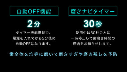 電動歯ブラシ 充電式 音波振動歯ブラシ LDB1000RBKJ 5種類モード切替 2分間 オート切りタイマー機能搭載 USB充電 ブラシ5本付き(代引不可)【メール便】