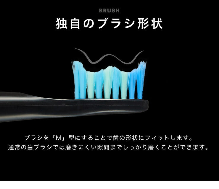 電動歯ブラシ 充電式 音波振動歯ブラシ LDB1000RBKJ 5種類モード切替 2分間 オート切りタイマー機能搭載 USB充電 ブラシ5本付き(代引不可)【メール便】