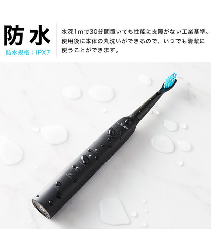 電動歯ブラシ 充電式 音波振動歯ブラシ LDB1000RBKJ 5種類モード切替 2分間 オート切りタイマー機能搭載 USB充電 ブラシ5本付き(代引不可)【メール便】