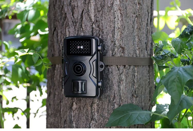 定点カメラ ファミラ 赤外線無人撮影カメラ 自動撮影 マイクロSDカード32GB付き 防水 防塵 防犯カメラ 監視カメラ 玄関 駐車場 畑 庭 農作物 防犯対策 害獣対策 ご近所トラブル(代引不可)