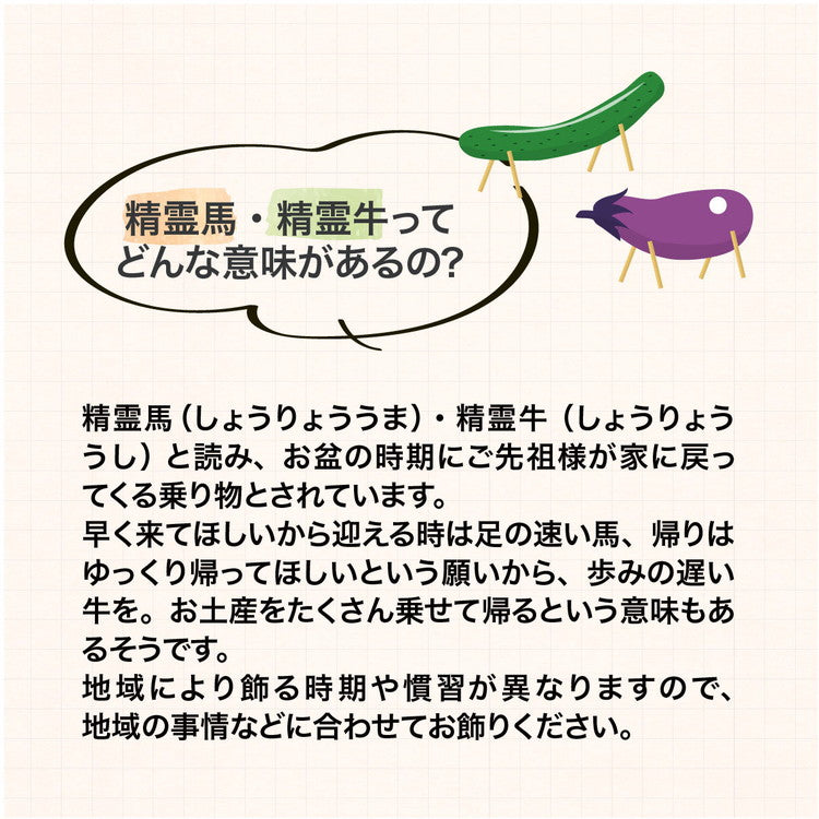 瀬戸焼 日本製 盆提灯精霊馬揃え お盆 提灯 盆提灯 精霊馬揃え 御盆 ミニ お盆飾り コンパクト お盆用品 初盆 新盆 飾りセット 仏具(代引不可)