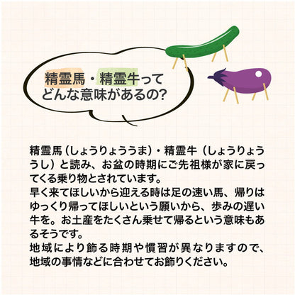 瀬戸焼 日本製 盆提灯精霊馬揃え お盆 提灯 盆提灯 精霊馬揃え 御盆 ミニ お盆飾り コンパクト お盆用品 初盆 新盆 飾りセット 仏具