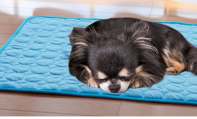 ペット用冷感マット 同色2枚組 幅70×奥行55cm 犬 猫 ペット用 暑さ対策(代引不可)