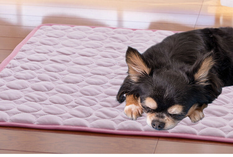ペット用冷感マット 同色2枚組 幅70×奥行55cm 犬 猫 ペット用 暑さ対策(代引不可)