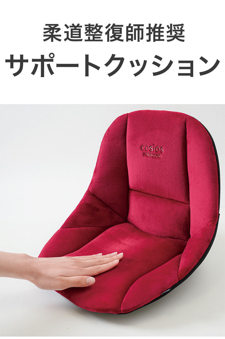 サポートクッション 1個入り 柔道整復師推奨 座椅子 姿勢矯正 疲れにくい 骨盤矯正 クッション ブラック レッド 腰 背中 姿勢サポート 椅子用 チェア 椅子(代引不可)