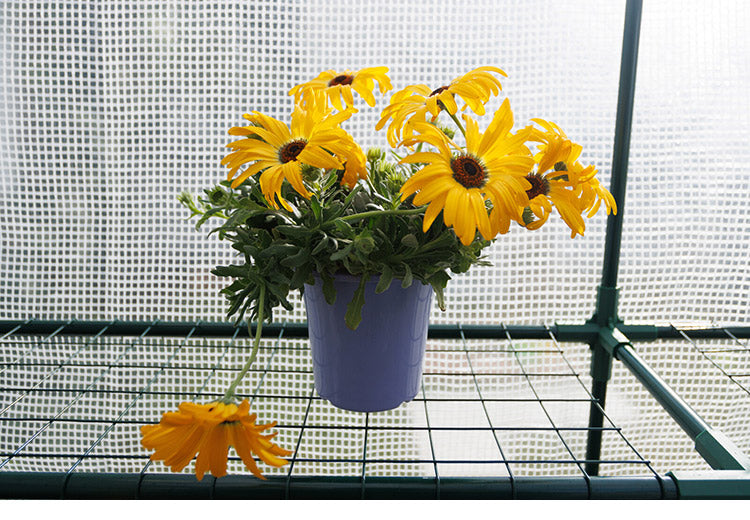 園芸用 菜園ハウス 小 園芸用ハウス ビニールハウス ペグ付き プランター台 プランターラック 自転車置きにも 家庭用 園芸 家庭菜園(代引不可)