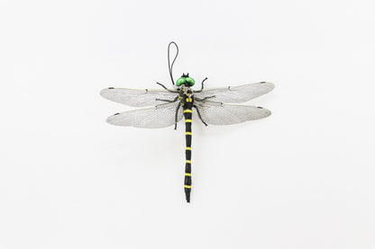 虫の天敵鬼ヤンマ 2個組 虫よけ 模型 威嚇用 虫追い払う ストラップ バッチ レジャー キャンプ トンボ オニヤンマ(代引不可)