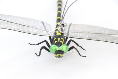 虫の天敵鬼ヤンマ 2個組 虫よけ 模型 威嚇用 虫追い払う ストラップ バッチ レジャー キャンプ トンボ オニヤンマ(代引不可)