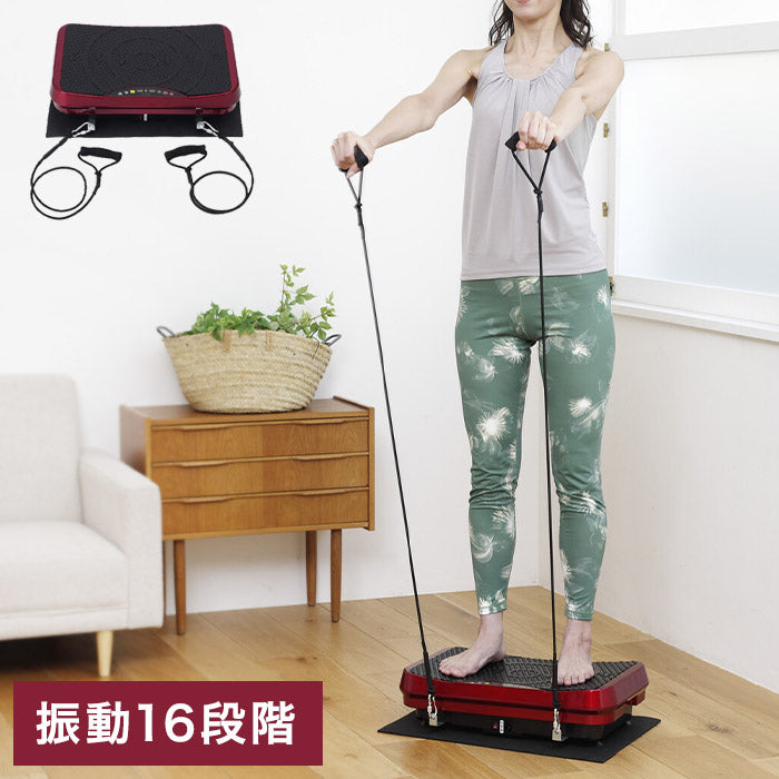 振動マシン 乗るだけ簡単エクササイズ アルインコ 振動速度16段階 エクササイズバンド付き コントローラー付属 フロアマット付き 全身刺激 健康 筋トレ 室内(代引不可)