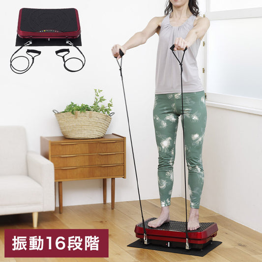 振動マシン 乗るだけ簡単エクササイズ アルインコ 振動速度16段階 エクササイズバンド付き コントローラー付属 フロアマット付き 全身刺激 健康 筋トレ 室内(代引不可)