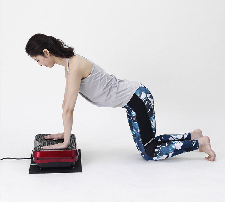振動マシン 乗るだけ簡単エクササイズ アルインコ 振動速度16段階 エクササイズバンド付き コントローラー付属 フロアマット付き 全身刺激 健康 筋トレ 室内(代引不可)