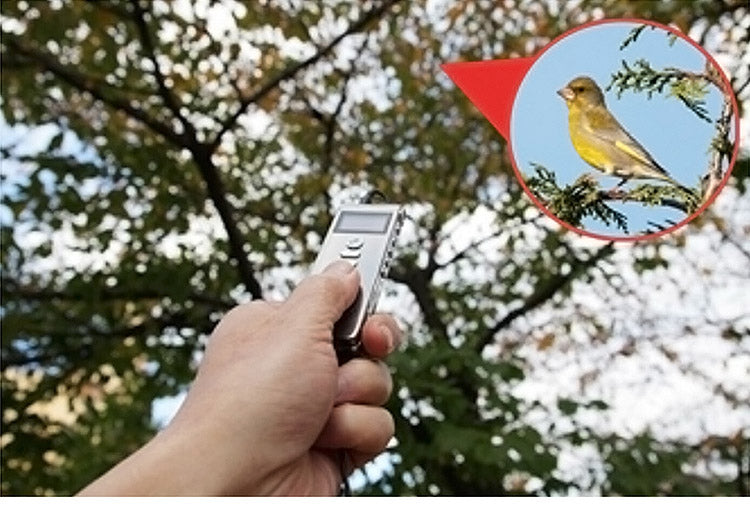 デジタル録音機 ボイスレコーダー 長録くん 集音器 約6日間連続録音 軽量 証拠録音 確認用 聴講用 記録用 野鳥観察(代引不可)