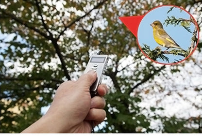 デジタル録音機 ボイスレコーダー 長録くん 集音器 約6日間連続録音 軽量 証拠録音 確認用 聴講用 記録用 野鳥観察(代引不可)