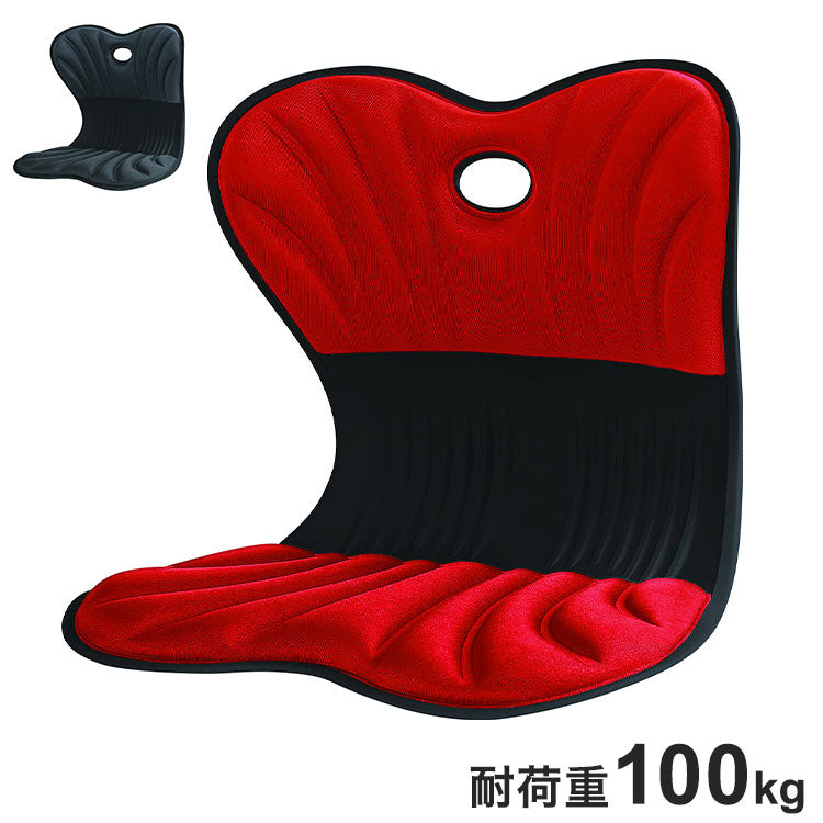サポートチェア 姿勢矯正 スワンル ボーテ 幅41 奥行31 高さ35cm 骨盤サポート 疲れにくい ブラック レッド パソコン用 デスク用 オフィス デスクチェア 猫背(代引不可)
