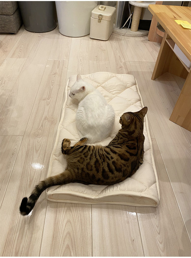 ふとんやの作ったペット用布団 ペットベッド 50×90cm 抗菌消臭 防ダニ 洗えるトンネル型 東洋紡 フィルハーモニー使用 キャットンネル(代引不可)