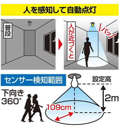 人感センサー付LED電球3個組 自動点灯 LED 明るい 省エネ トイレ 廊下 玄関 電球 電灯 センサー付き E26 昼光色 電球色 照明 ライト 室内 人感センサーライト(代引不可)