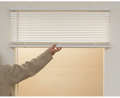 フレキシブラインド25 175×138cm ブラインド カーテンレール 取付可能 賃貸 コードレス 腰高窓 小窓 お手頃 横型ブラインド シェード 日よけ ブラインドカーテン(代引不可)