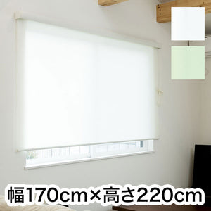 ロールスクリーン カバー付き 幅170cm×高さ220cm シンプル おしゃれ 北欧 オフィス マンション 間仕切り ロールカーテン(代引不可)
