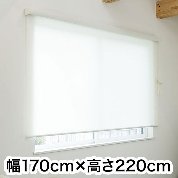 ロールスクリーン カバー付き 防炎 無地 幅170cm×高さ220cm シンプル おしゃれ 北欧 オフィス マンション 法人 間仕切り ロールカーテン(代引不可)