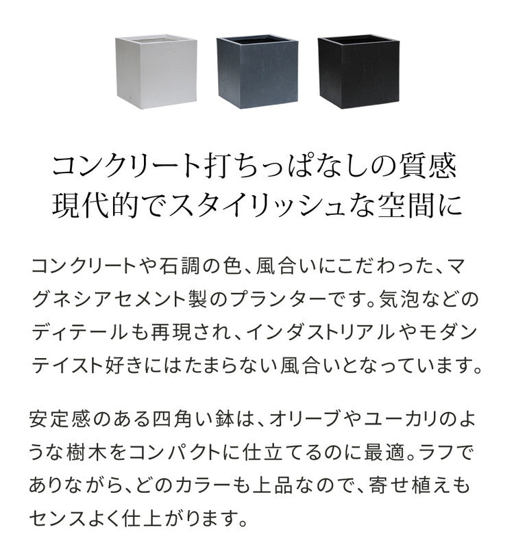 マグネシアプランター TEXTURE(テクスチャー) 角型36cm ブラック グレー ホワイト TEX-360C プランター キューブ型 立方体 正方形 植木鉢 ファイバークレイ プランターカバー ガーデン(代引不可)