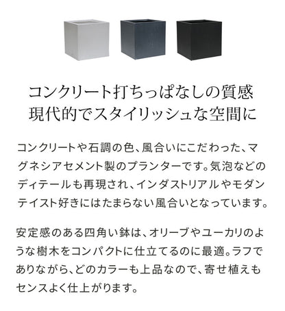 マグネシアプランター TEXTURE(テクスチャー) 角型50cm ブラック グレー ホワイト TEX-500C プランター キューブ型 立方体 正方形 植木鉢 ファイバークレイ プランターカバー ガーデン(代引不可)