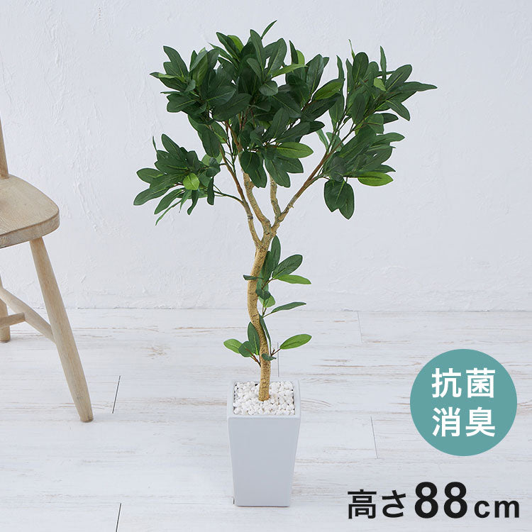 フェイクグリーン オリーブツリー 約88cm 抗菌 消臭 観葉植物 フェイク 光触媒 人工観葉植物 インテリア おしゃれ 鉢 植木 葉 枝 木 室内 玄関 リビング オフィス 爽やか(代引不可)
